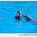 Marineland - Dauphins - Spectacle 14h30 - 0198
