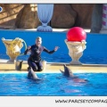 Marineland - Dauphins - Spectacle 14h30 - 0200
