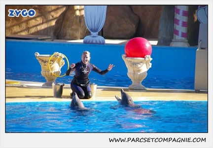 Marineland - Dauphins - Spectacle 14h30 - 0200