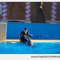 Marineland - Dauphins - Spectacle 14h30 - 0201