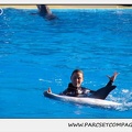 Marineland - Dauphins - Spectacle 14h30 - 0202