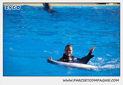 Marineland - Dauphins - Spectacle 14h30 - 0202