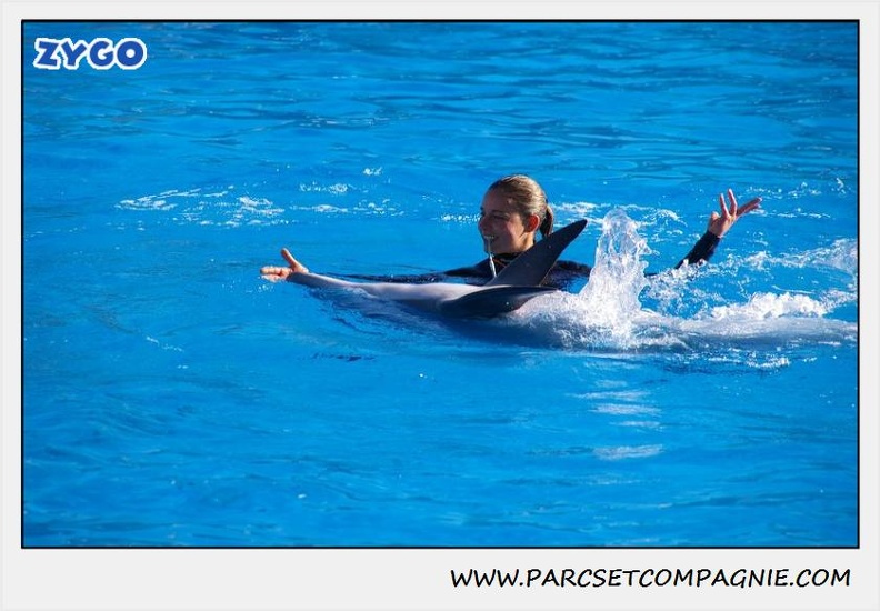 Marineland - Dauphins - Spectacle 14h30 - 0203