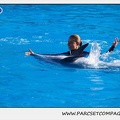 Marineland - Dauphins - Spectacle 14h30 - 0203