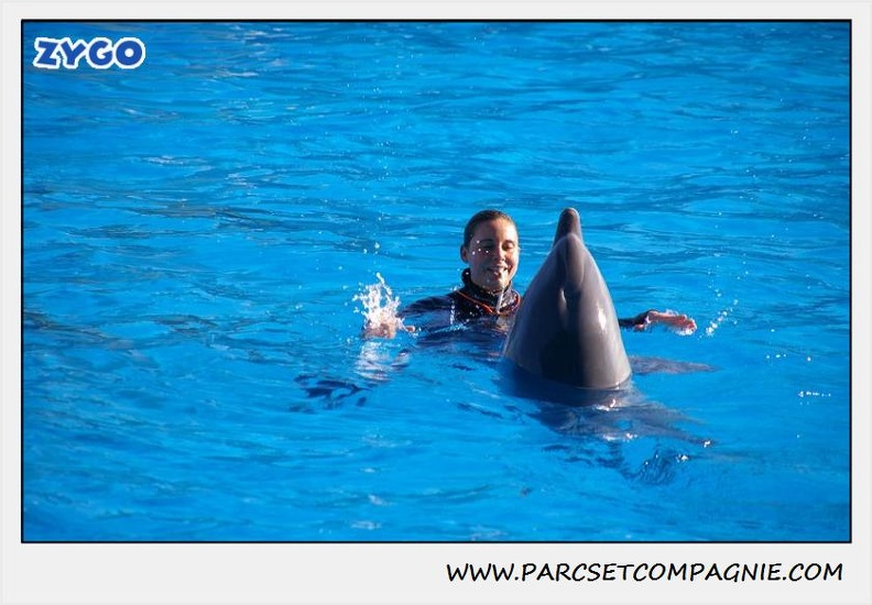 Marineland - Dauphins - Spectacle 14h30 - 0204