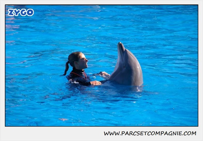 Marineland - Dauphins - Spectacle 14h30 - 0205