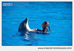 Marineland - Dauphins - Spectacle 14h30 - 0206