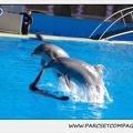 Marineland - Dauphins - Spectacle 14h30 - 0207