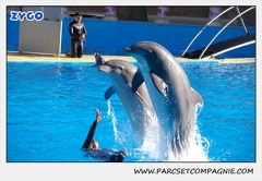 Marineland - Dauphins - Spectacle 14h30 - 0208