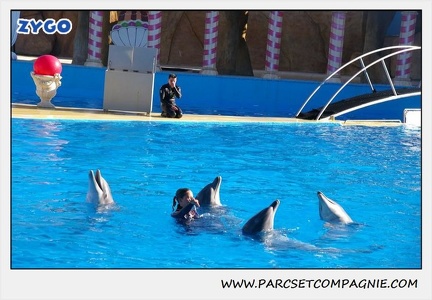 Marineland - Dauphins - Spectacle 14h30 - 0209