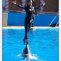 Marineland - Dauphins - Spectacle 14h30 - 0210