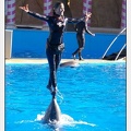 Marineland - Dauphins - Spectacle 14h30 - 0211
