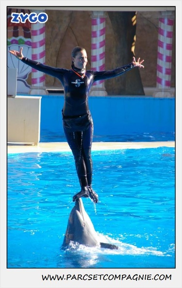 Marineland - Dauphins - Spectacle 14h30 - 0212