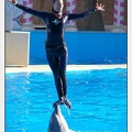 Marineland - Dauphins - Spectacle 14h30 - 0212