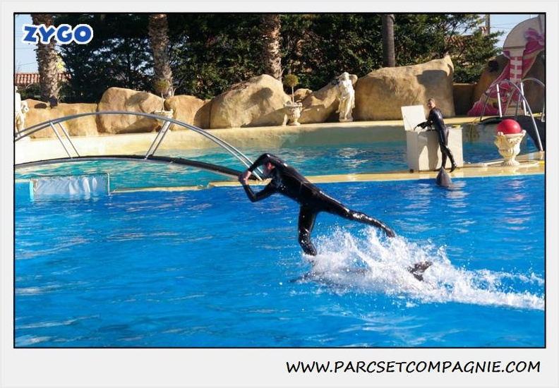 Marineland - Dauphins - Spectacle 14h30 - 0213