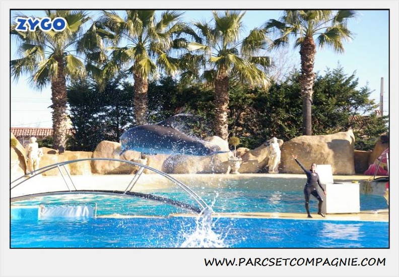 Marineland - Dauphins - Spectacle 14h30 - 0214