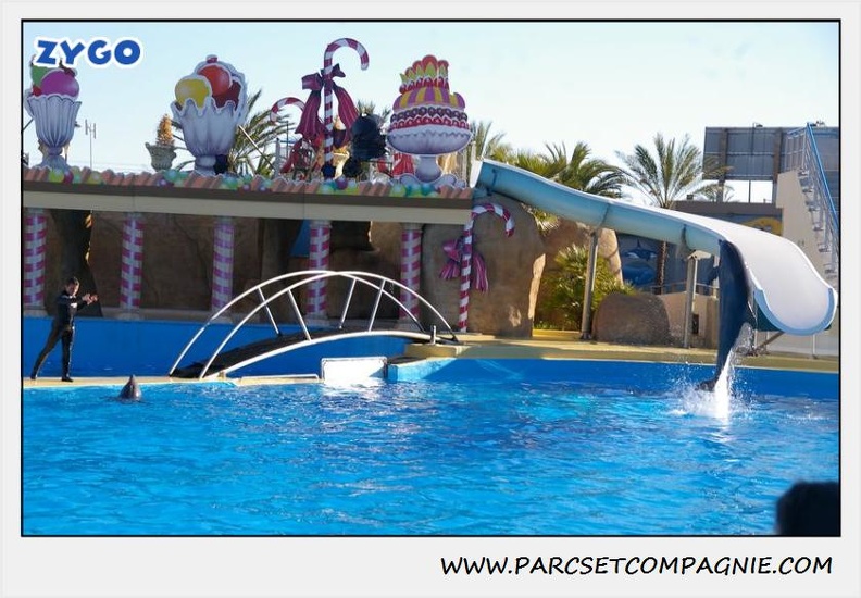 Marineland - Dauphins - Spectacle 14h30 - 0215