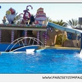 Marineland - Dauphins - Spectacle 14h30 - 0215