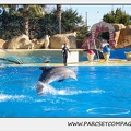 Marineland - Dauphins - Spectacle 14h30 - 0216