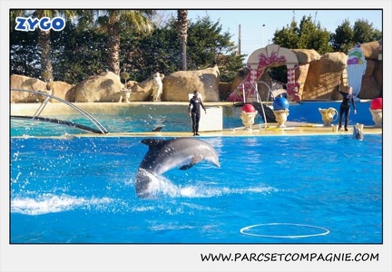 Marineland - Dauphins - Spectacle 14h30 - 0216