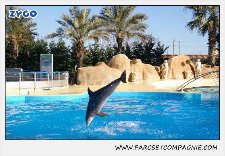 Marineland - Dauphins - Spectacle 14h30 - 0218