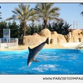 Marineland - Dauphins - Spectacle 14h30 - 0218