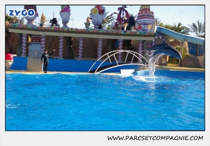 Marineland - Dauphins - Spectacle 14h30 - 0219