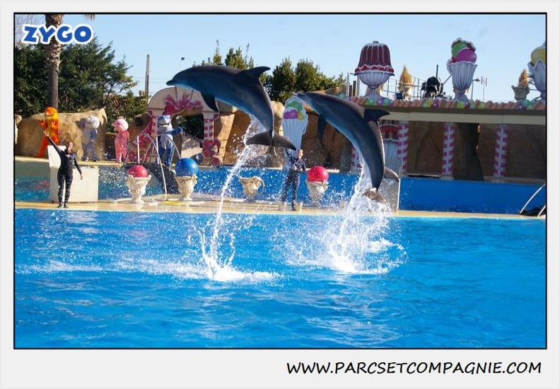 Marineland - Dauphins - Spectacle 14h30 - 0222