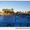 Marineland - Dauphins - Spectacle 17h30 - 0223