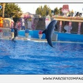 Marineland - Dauphins - Spectacle 17h30 - 0224