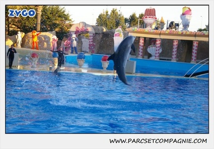 Marineland - Dauphins - Spectacle 17h30 - 0224