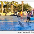 Marineland - Dauphins - Spectacle 17h30 - 0225