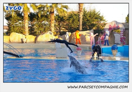 Marineland - Dauphins - Spectacle 17h30 - 0225