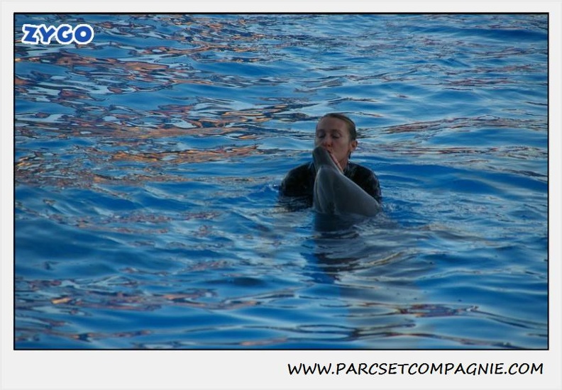 Marineland - Dauphins - Spectacle 17h30 - 0226
