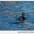 Marineland - Dauphins - Spectacle 17h30 - 0227