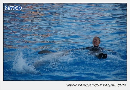 Marineland - Dauphins - Spectacle 17h30 - 0228