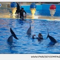 Marineland - Dauphins - Spectacle 17h30 - 0229