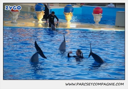Marineland - Dauphins - Spectacle 17h30 - 0229