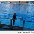 Marineland - Dauphins - Spectacle 17h30 - 0230