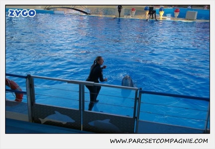 Marineland - Dauphins - Spectacle 17h30 - 0230