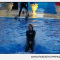 Marineland - Dauphins - Spectacle 17h30 - 0231