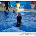 Marineland - Dauphins - Spectacle 17h30 - 0232