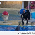 Marineland - Dauphins - Spectacle 17h30 - 0233