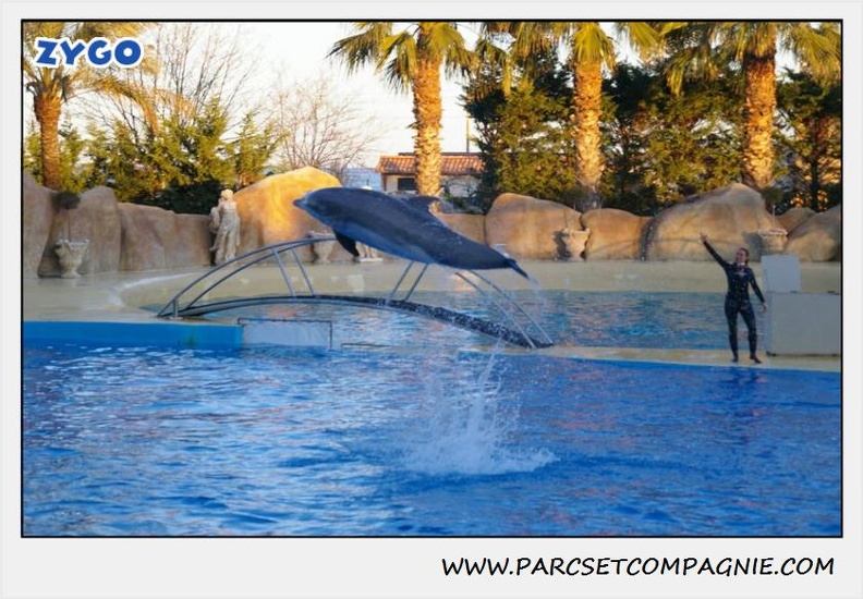 Marineland - Dauphins - Spectacle 17h30 - 0234