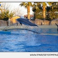 Marineland - Dauphins - Spectacle 17h30 - 0234