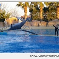 Marineland - Dauphins - Spectacle 17h30 - 0235