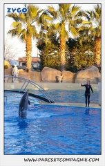 Marineland - Dauphins - Spectacle 17h30 - 0237