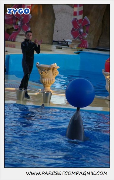 Marineland - Dauphins - Spectacle 17h30 - 0239