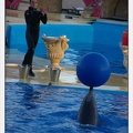 Marineland - Dauphins - Spectacle 17h30 - 0239