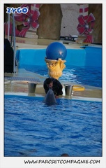 Marineland - Dauphins - Spectacle 17h30 - 0240